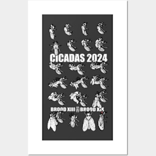Cicadas Transformation 2024 Fan Art Posters and Art